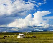 清水河今天天气